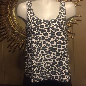 Cheetah Tank